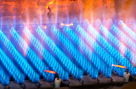 Goodmanham gas fired boilers
